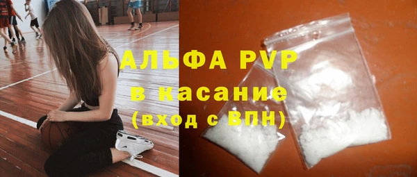 индика Бронницы