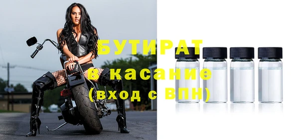 индика Бронницы