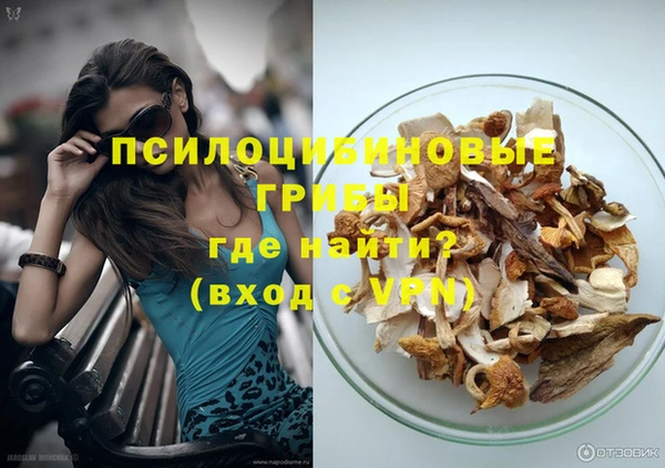 крисы Верхний Тагил