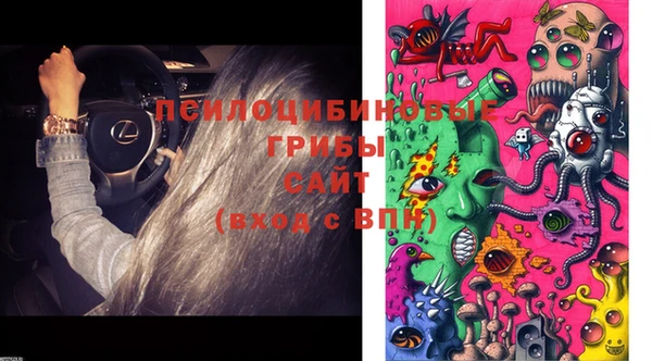 крисы Верхний Тагил