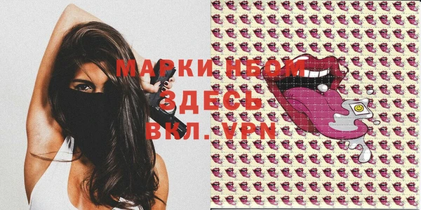 индика Бронницы