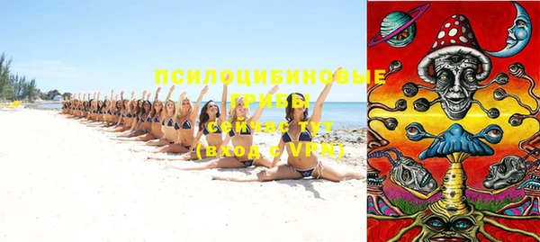 крисы Верхний Тагил