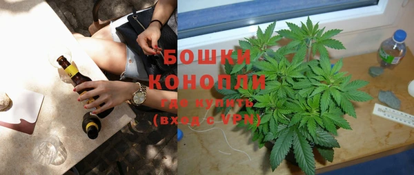 крисы Верхний Тагил