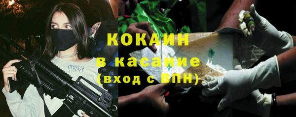 крисы Верхний Тагил